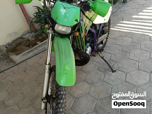 2021 كاواساكي أخرى
