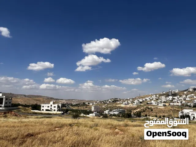 Mixed Use Land for Sale in Amman Shafa Badran