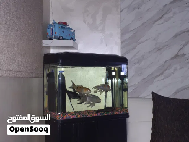 حوض سمك كامل