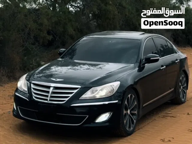 2013 جينيسيس اخرى