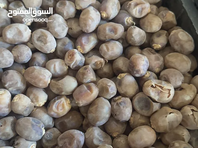 تمر برحي ابي الخصيب