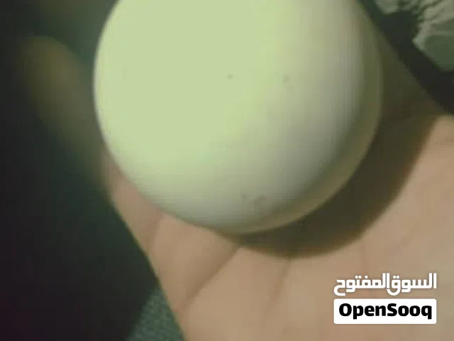 حجر الماس سداسي