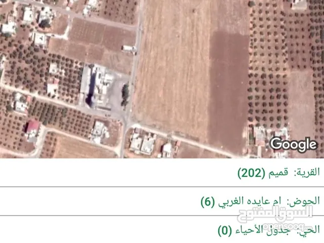 قطعة ارض للبيع في اربد قرية قميم حوض ام عايده الغربي بالقرب من المطحنه
