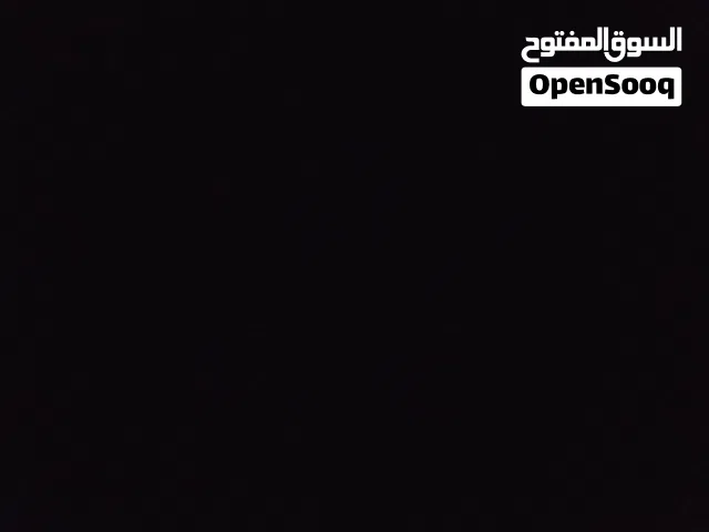 يوجد حمام باكستاني ازواج منتجة عدد مفتوح حبة على ريال