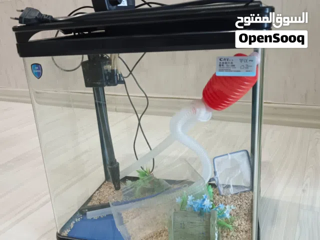 Full Fish Tank for Sale – Complete Setup