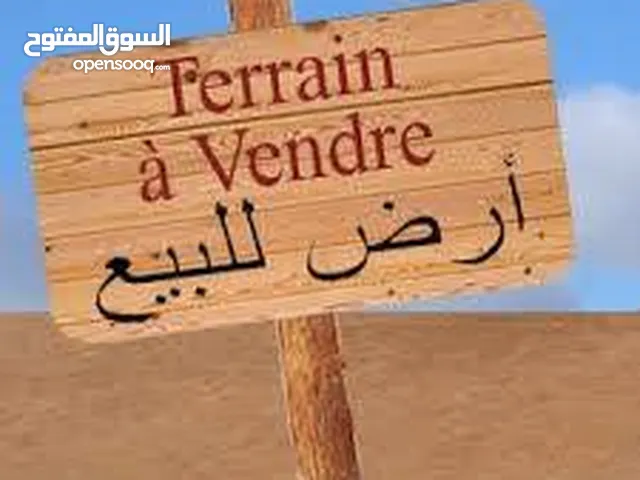 Farm Land for Sale in Basra Abu Al-Khaseeb