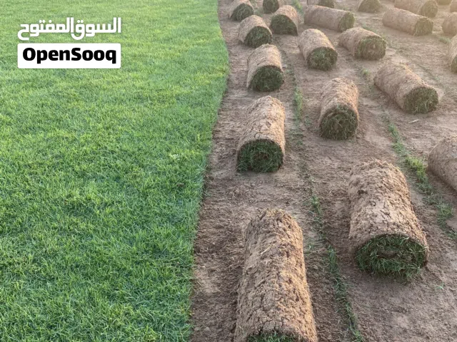 مسطحات الخضراءالطبيعي