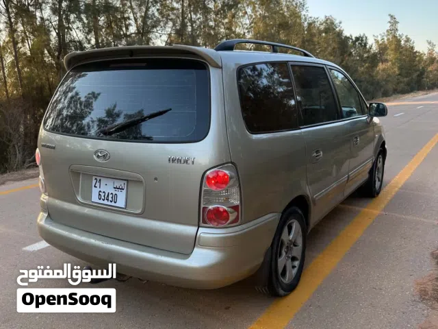 2007 Hyundai Trajet