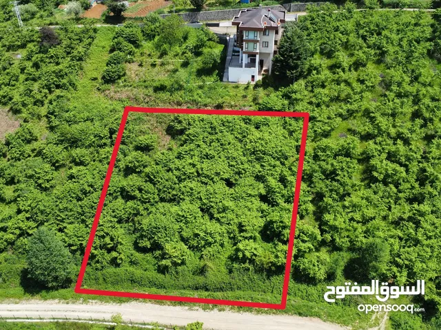 LAND FOR SALE IN TRABZON ORTAHİSAR