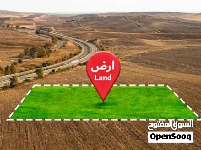 أرض زراعية بمنطقة دفيقة الشحر وثيقة القعيطي قرابة 9 فدان في الشحر عرطة العرطه