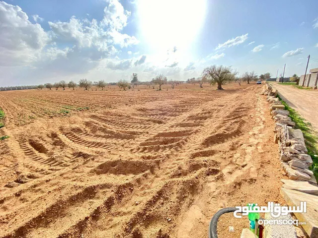 Residential Land for Sale in Misrata Tamina