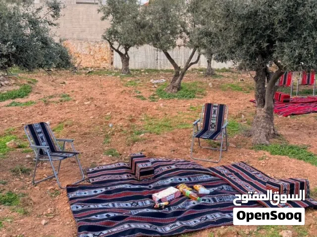 طقم جلسة بدوية بتكون من 7 قطع  فرشتين و مسندين و كرسيين و بساط