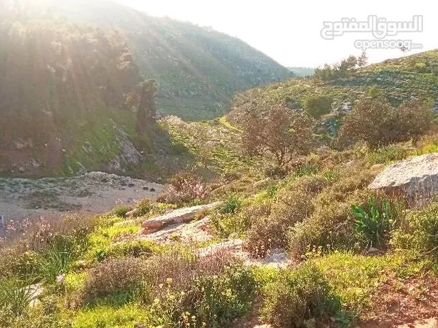 Mixed Use Land for Sale in Hebron Dura
