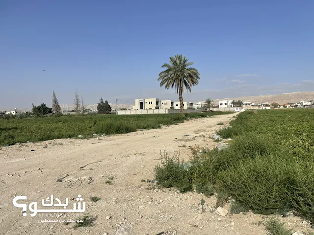 Residential Land for Sale in Jericho Amman St.