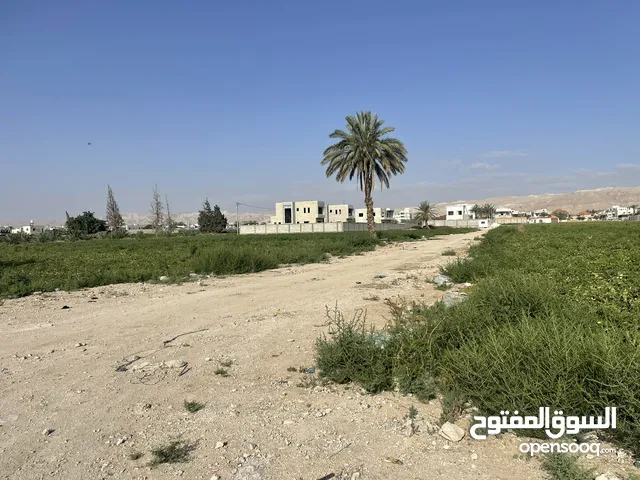Residential Land for Sale in Jericho Amman St.