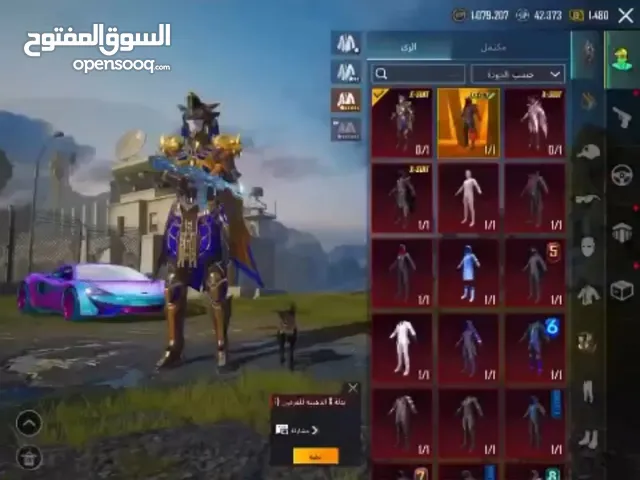 Pubg Accounts and Characters for Sale in Musandam