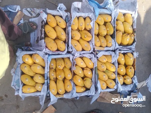 Pakistan Mangoes