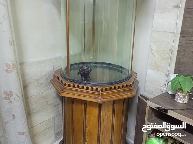حوض سمك للبيع حجم كبير 160 سم