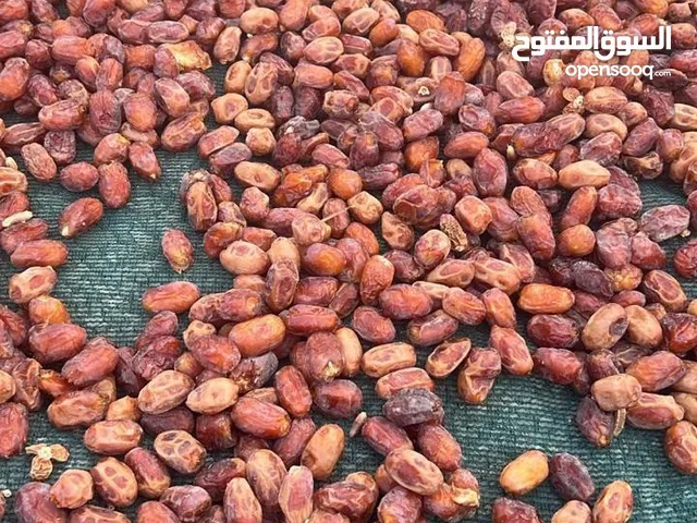 سح خلاص ( 2025 ) للبيع