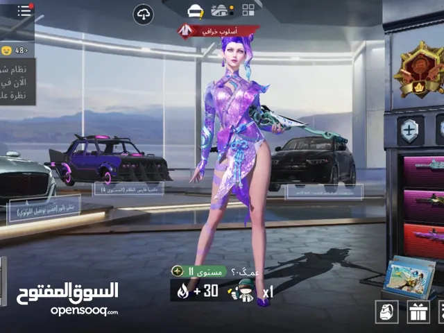 Pubg Accounts and Characters for Sale in Nablus