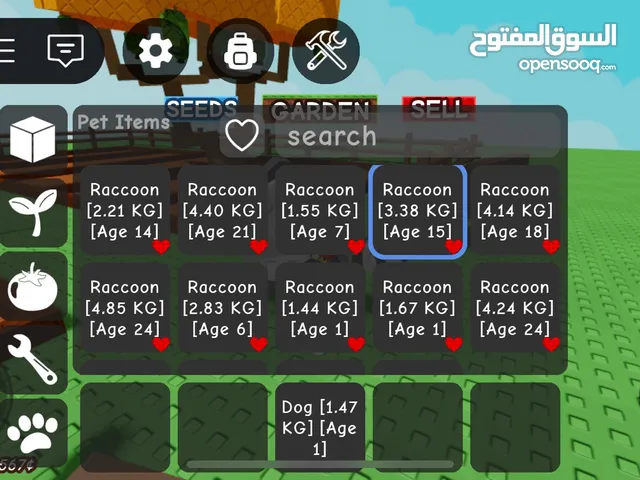 1 raccoon 4kd