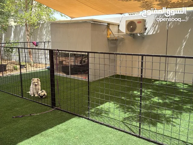 dog cage maker