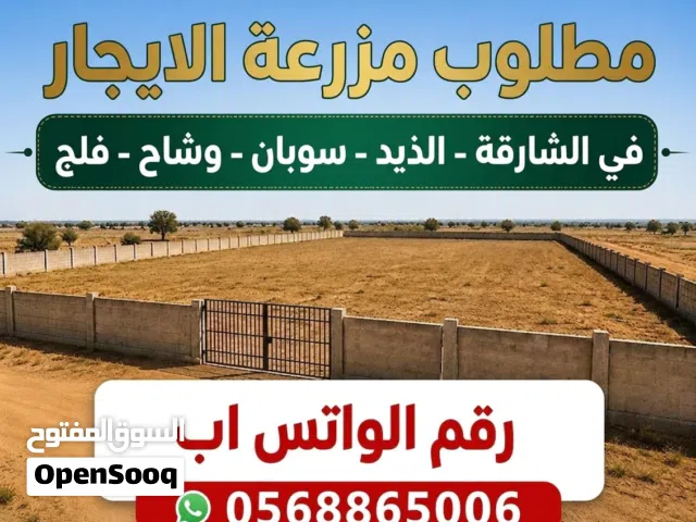 مطلوب مزراع الايجار