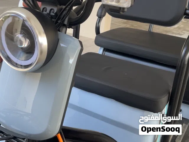 2022 QJmotor Commute