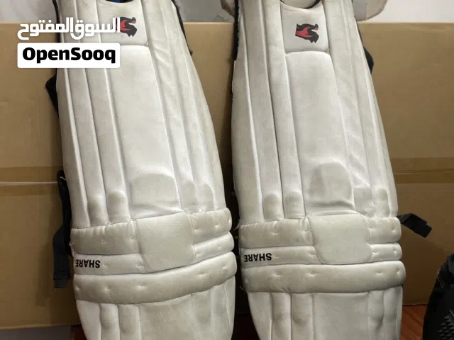 2 seasonal bat, balls, helmet, bag, pads, gloves