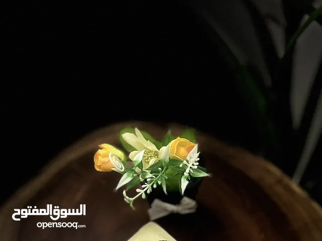 Black Others for sale in Muscat