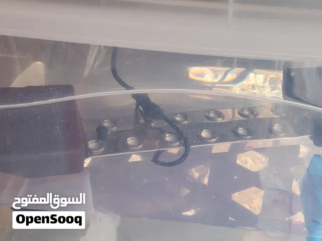 جهاز صانع ضباب لمزارع الفطر – جاهز للعمل  للبيع جهاز صانع ضباب مخصص لمزارع الفطر، شغال ممتاز وم