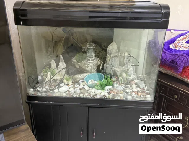 حوض كبير سمك