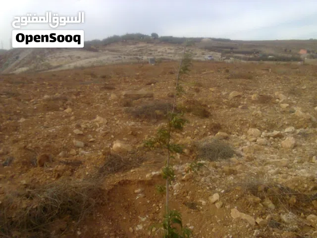 Mixed Use Land for Sale in Irbid Sal