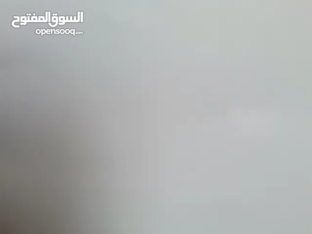 الراقية الشيوخ