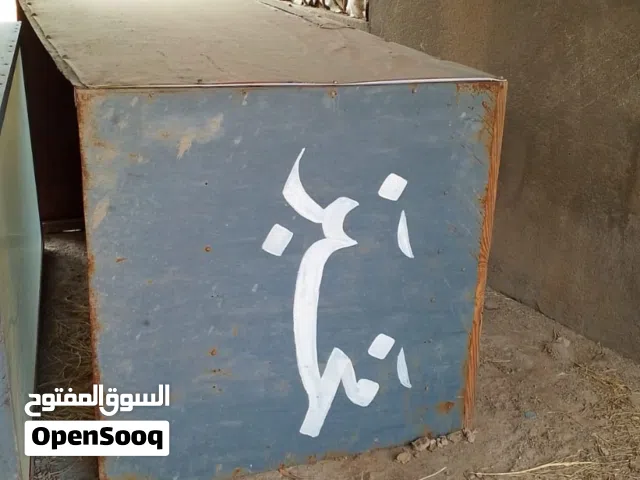 ميز مخبز مستعمل السعر ميتين