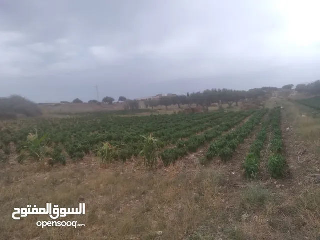 Farm Land for Sale in Nabeul Other