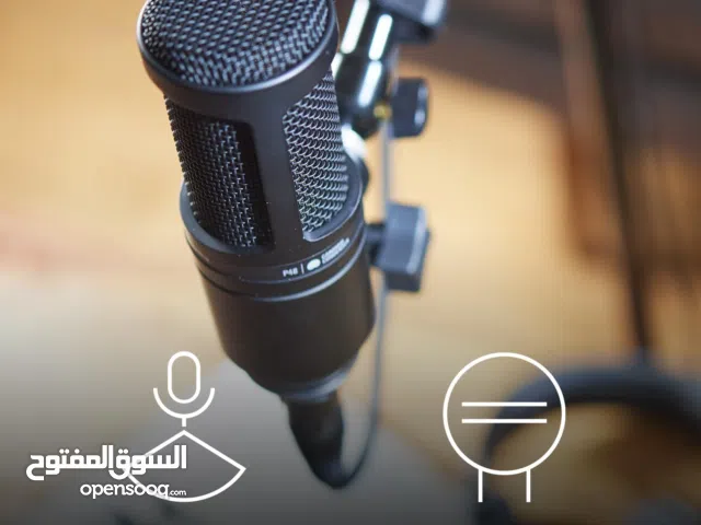 Audio-Technica AT2020 Cardioid Condenser Studio XLR Microphone