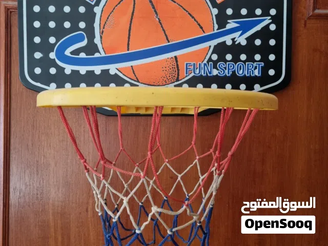 Baskerball Door Hoop