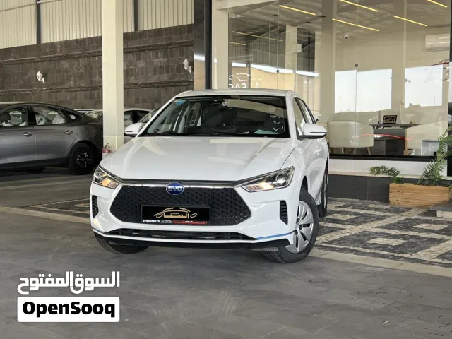2022 BYD E2
