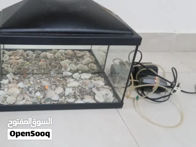 small aquarium حوض سمك صغير