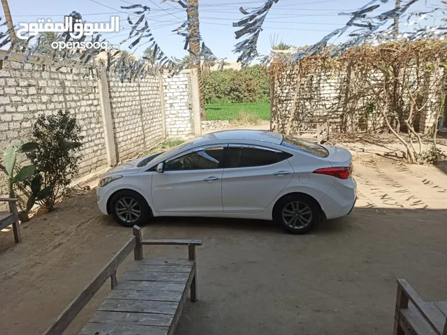Used Hyundai Other in Tanta