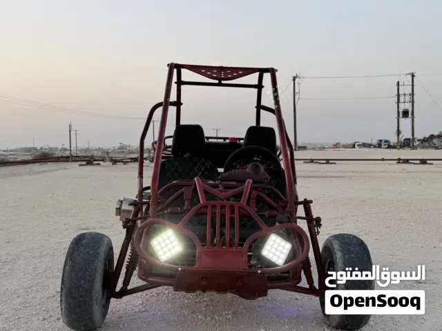 buggy fully restored