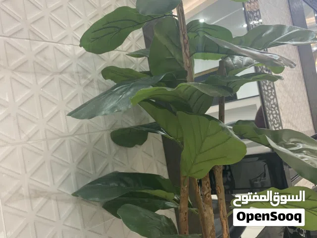 Furnished Monthly in Hawally Salmiya