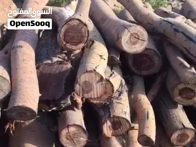 حطب لتنور ومضبي