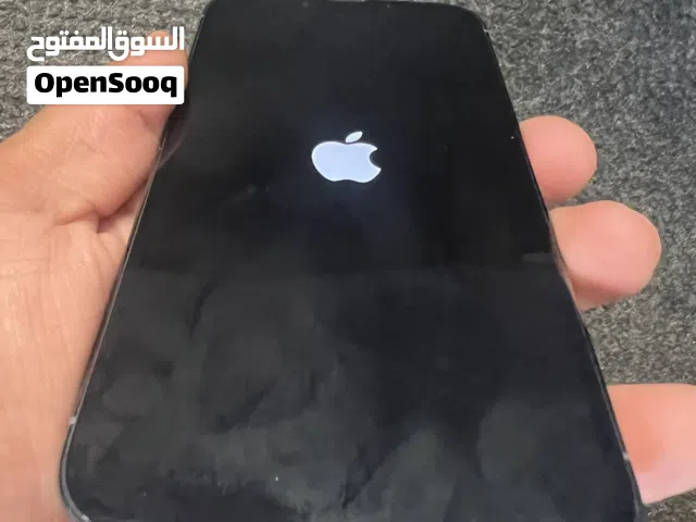 iPhone 13Pro