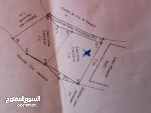 أرض للبيع الحسيمة جوهرة الأبيض المتوسط مدينة جميلة وسياحية وذات مناضر خلابة