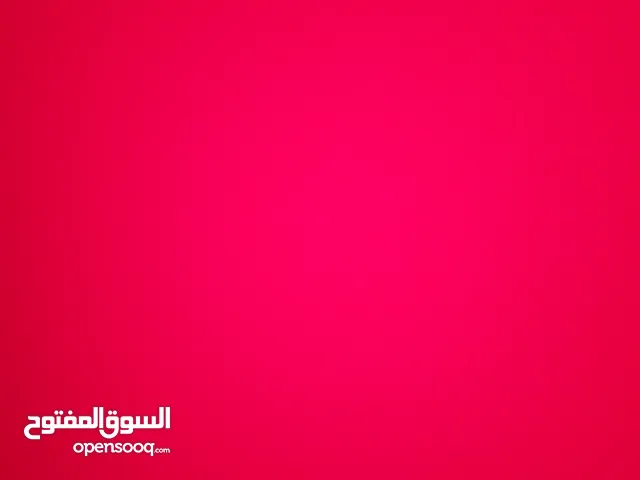 منتصر التيم