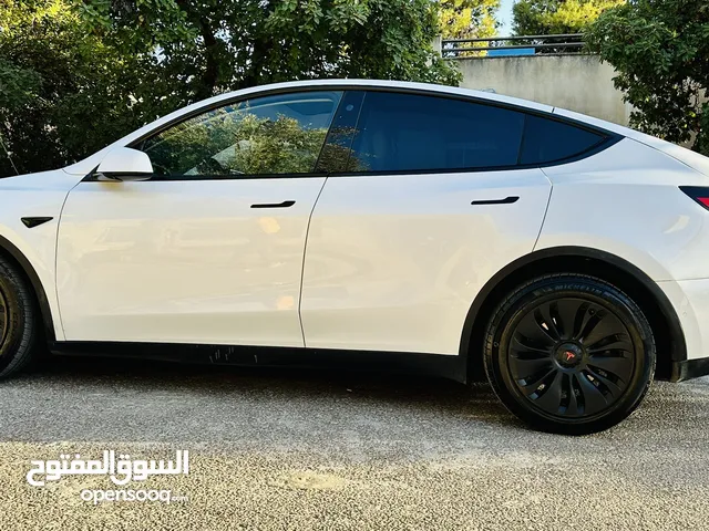 تيسلا y جيب فحص كامل Long range dual motor بسعر مغري