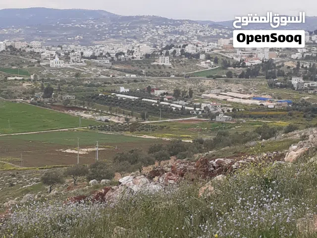Farm Land for Sale in Jerash Other
