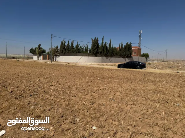Residential Land for Sale in Amman Al Tuneib